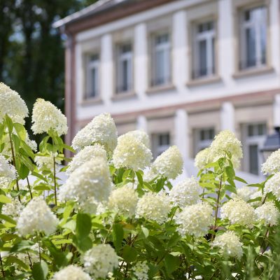 Offrir un chèque cadeau - Montant libre